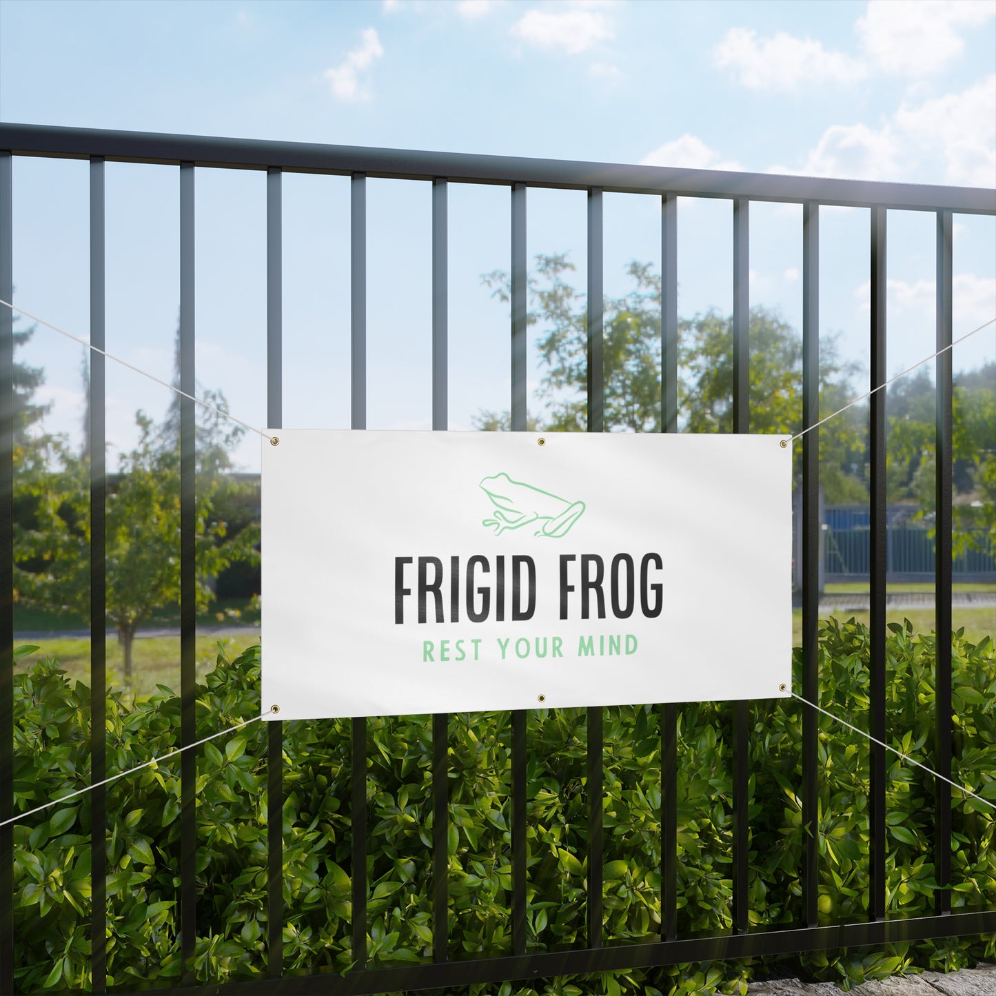 Frigid Frog Banner